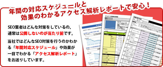 年間の対応スケジュールと効果のわかるアクセス解析レポートで安心！